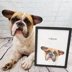 Customer pet portrait 2