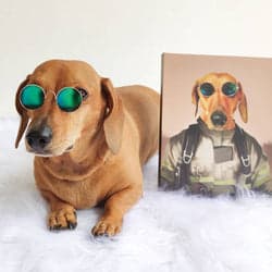 Customer pet portrait 4