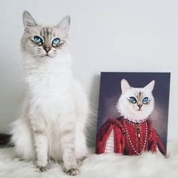 Customer pet portrait 5