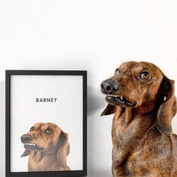 Customer pet portrait 6