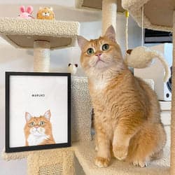 Customer pet portrait 8