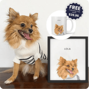 Modern Pet Portrait