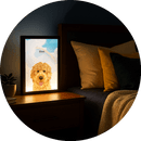 Custom pet night light