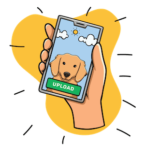 Upload a photo of your pet