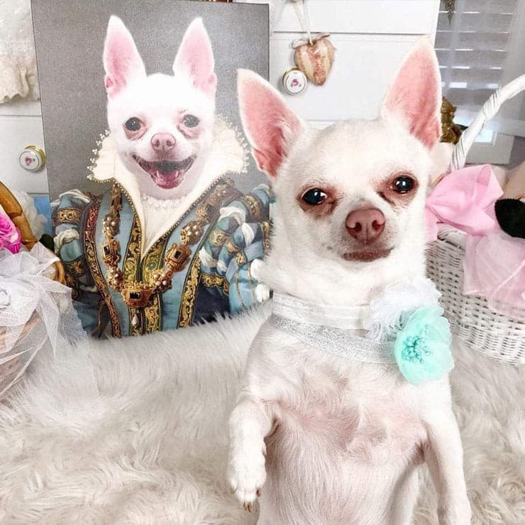 Becky's custom pet portrait