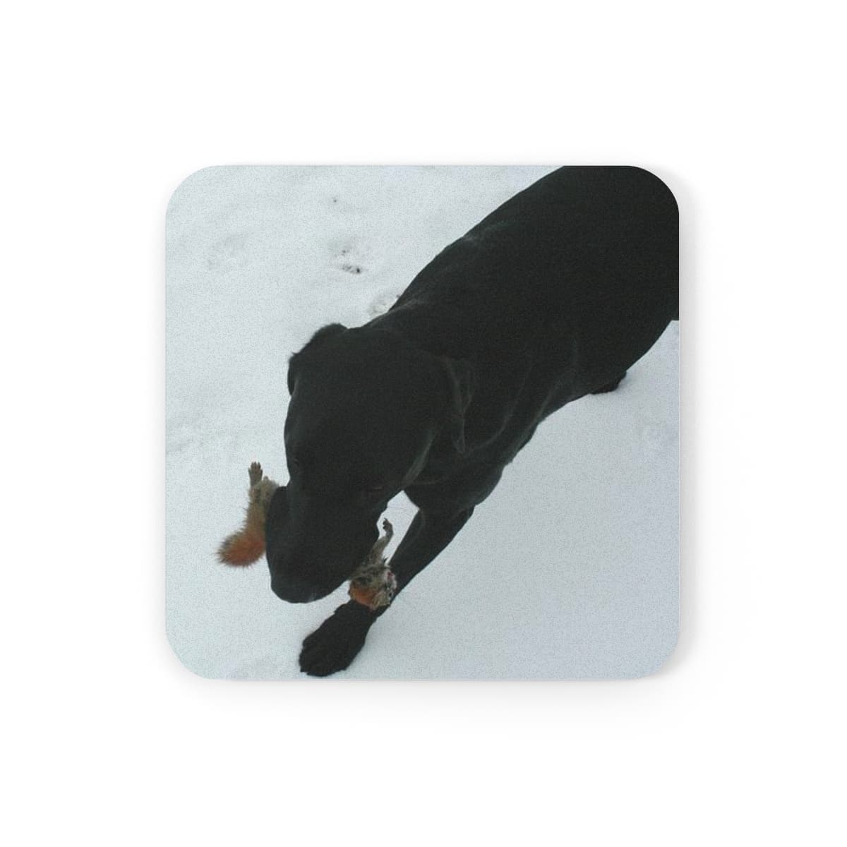 Custom Pet Coaster