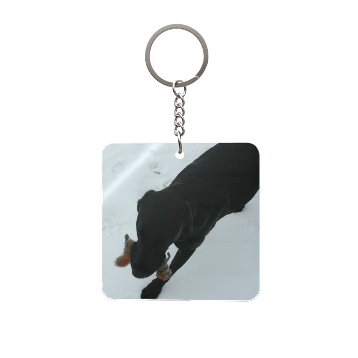 Custom Pet Keychain